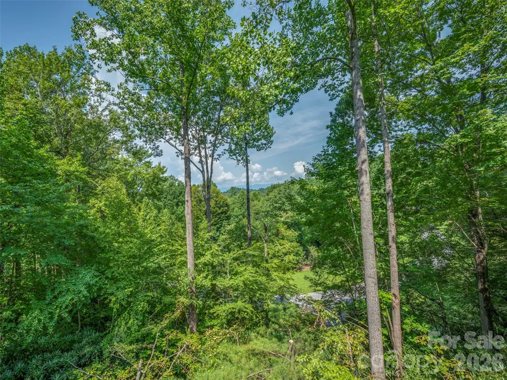 75 Old Hickory Trail Hendersonville, NC 28739