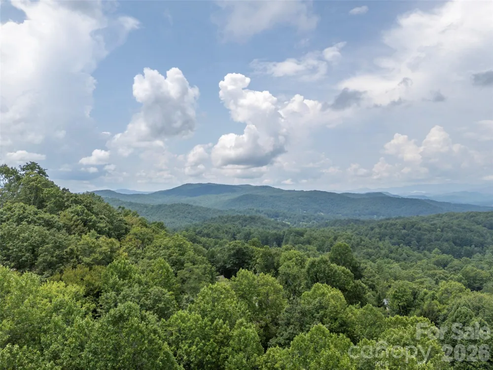 75 Old Hickory Trail Hendersonville, NC 28739