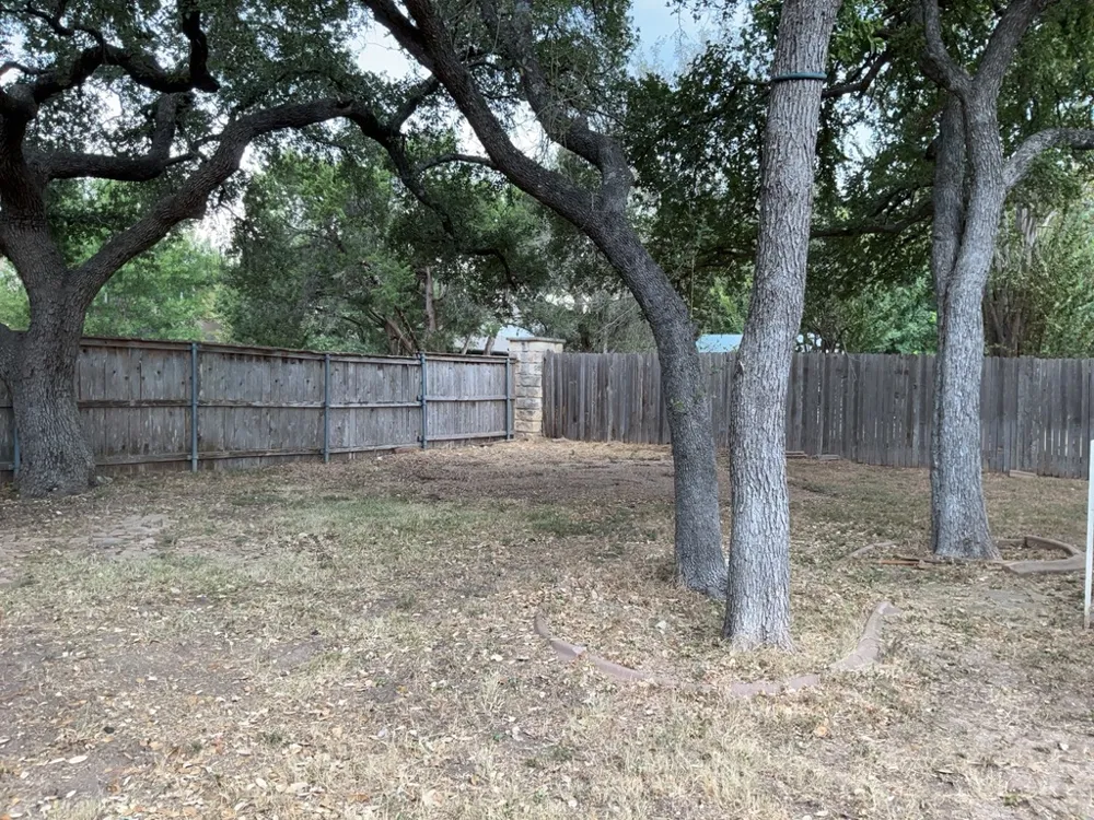 3590 Rock Shelf Lane Round Rock, TX 78681