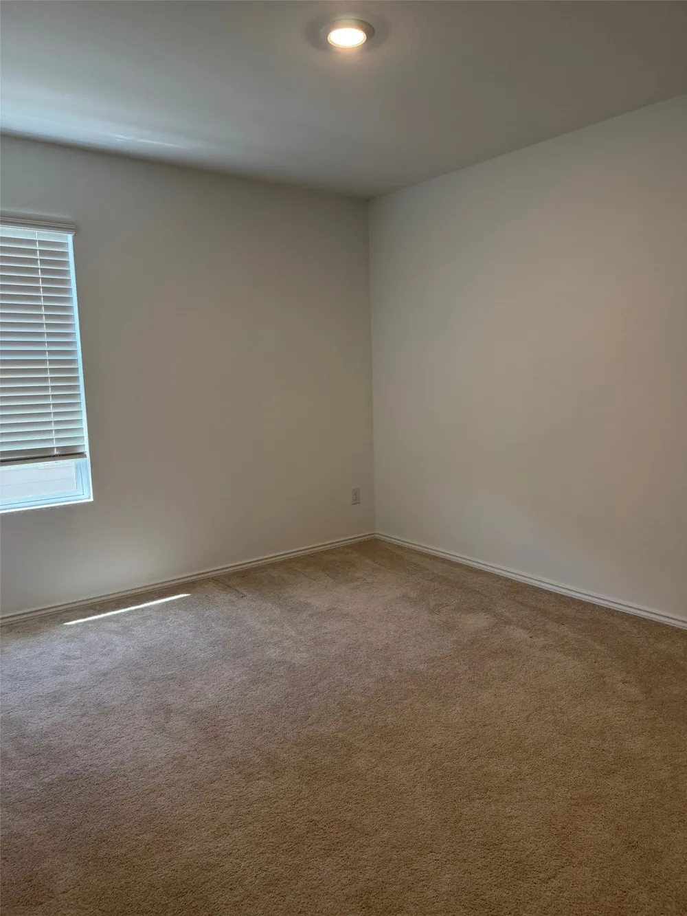 11719 Bone Spring Drive Rhome, TX 76247