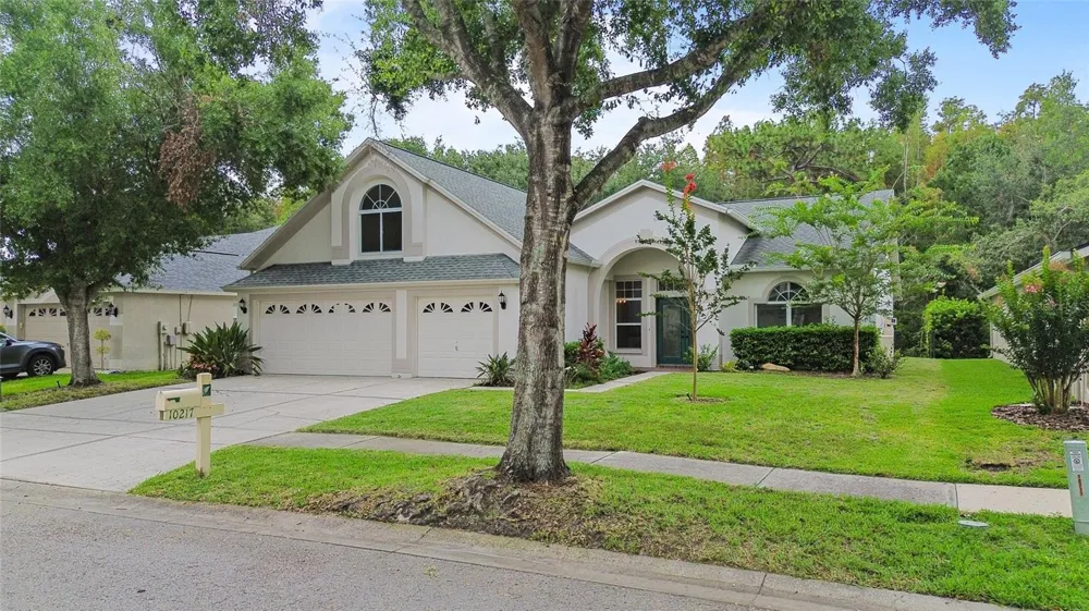 10217 TIMBERLAND POINT DRIVE Tampa, FL 33647