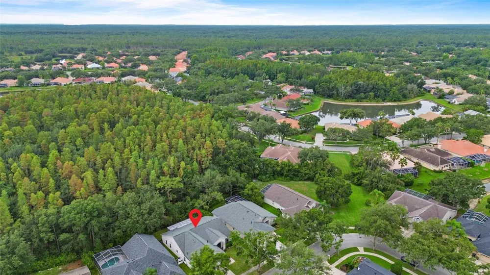 10217 TIMBERLAND POINT DRIVE Tampa, FL 33647