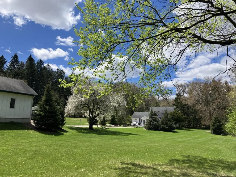 1180 NE Cramton Avenue Ada Township, MI 49301