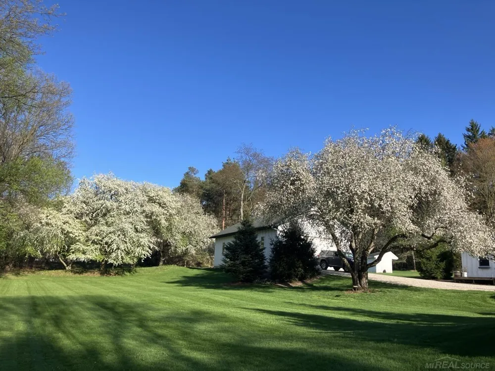 1180 NE Cramton Avenue Ada Township, MI 49301