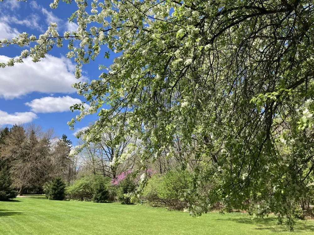 1180 NE Cramton Avenue Ada Township, MI 49301