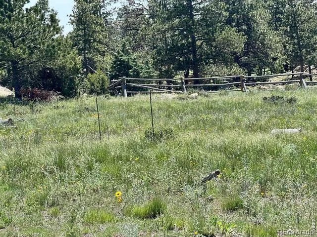 62 White Slide Mountain Court Livermore, CO 80536