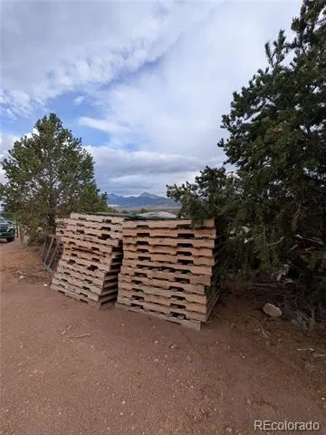 7343 Sweany Road Fort Garland, CO 81133