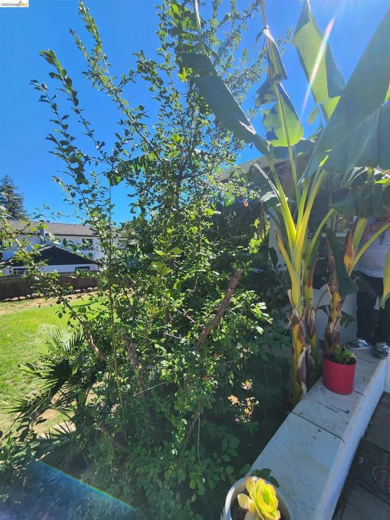21 Monte Vista Ave Vallejo, CA 94590