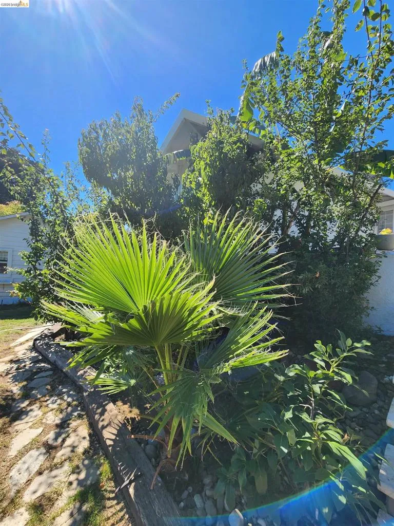 21 Monte Vista Ave Vallejo, CA 94590