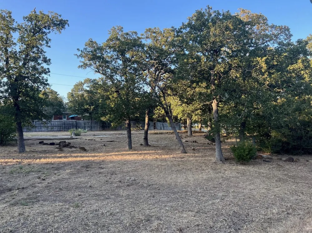 1102 Maple Drive Bartonville, TX 76226