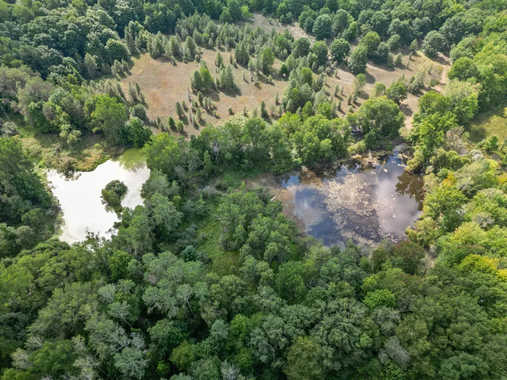 5221 S Maple Island Road Hesperia, MI 49421