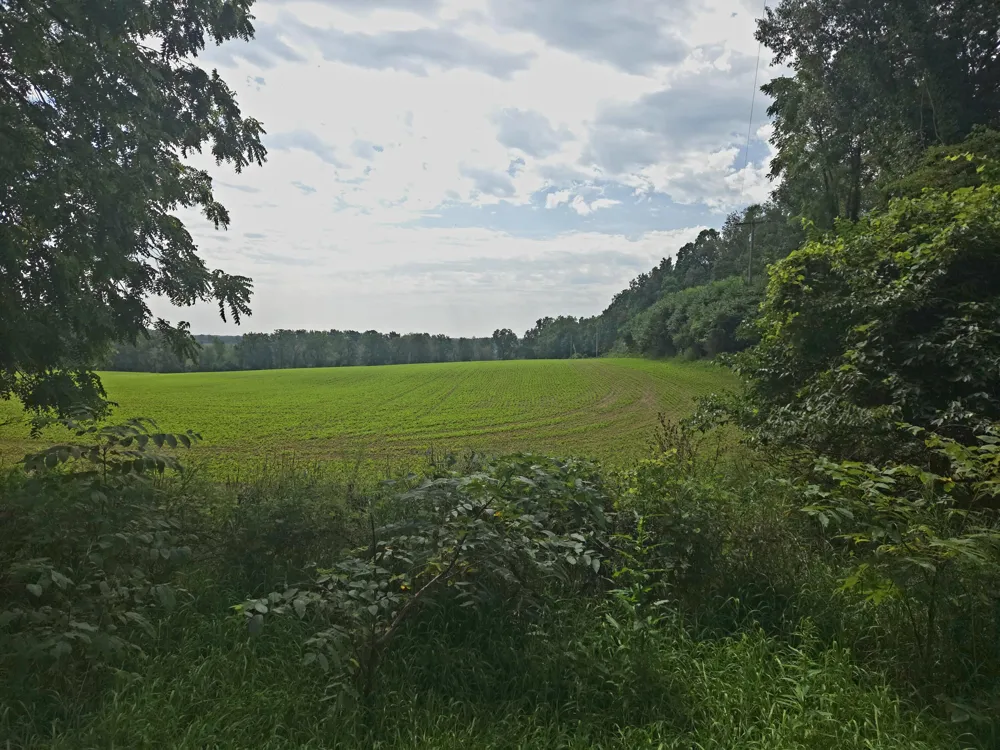 Crispell Road Clarklake, MI 49234