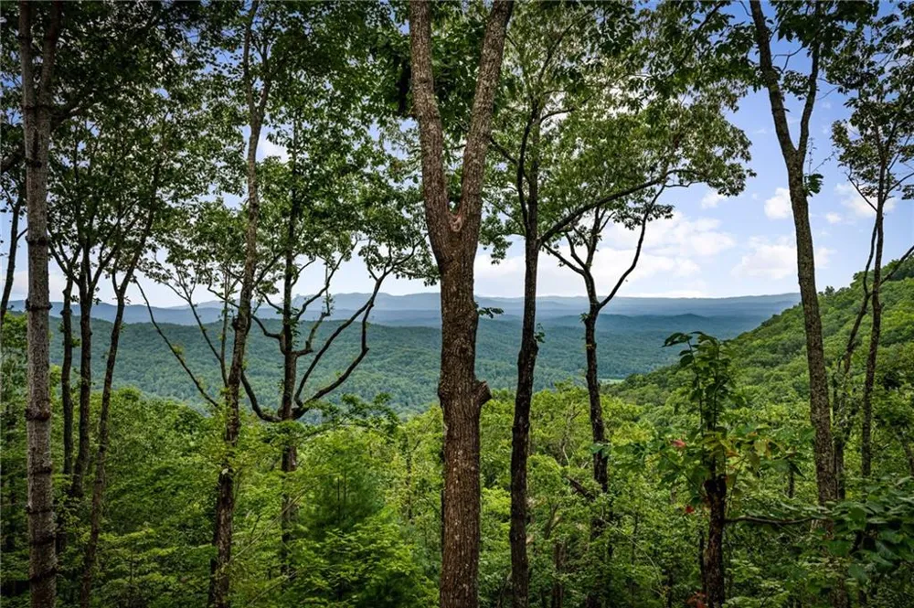 380 Utana Bluffs Trail Ellijay, GA 30540