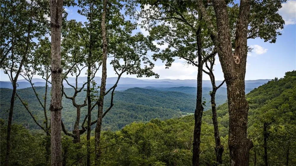 380 Utana Bluffs Trail Ellijay, GA 30540