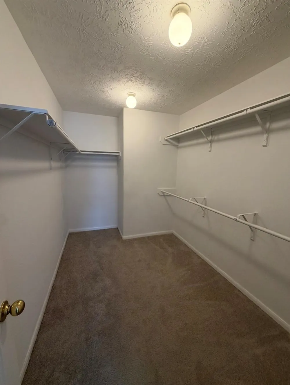 21406 Daylily Hills Drive Spring, TX 77388
