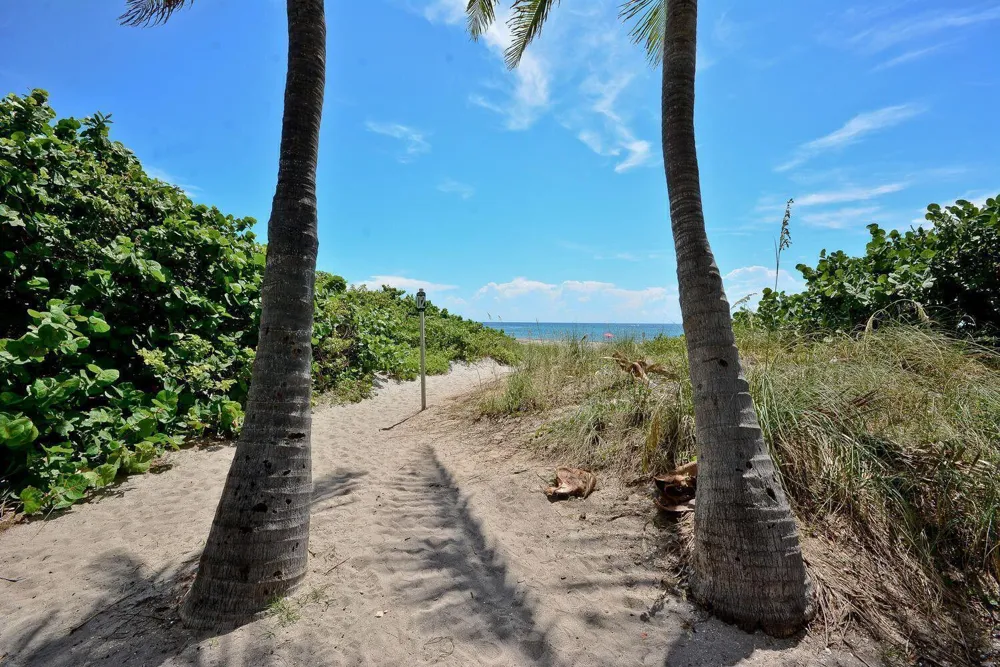 950 Ponce De Leon Road #207 Boca Raton, FL 33432