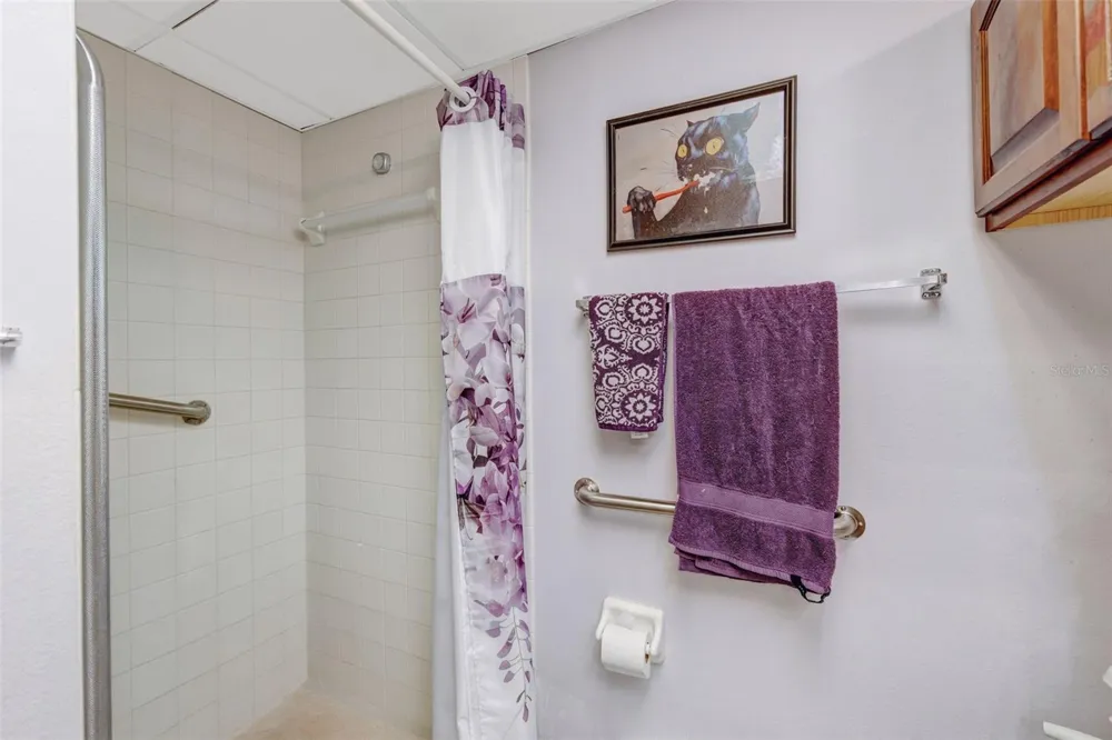 11714 RAINTREE VILLAGE BOULEVARD #A Temple Terrace, FL 33617