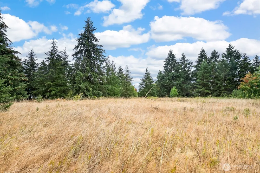16631 Case Road SW Rochester, WA 98579