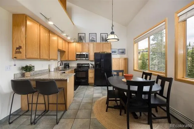 10000 Ryan Gulch Road #312 Silverthorne, CO 80498