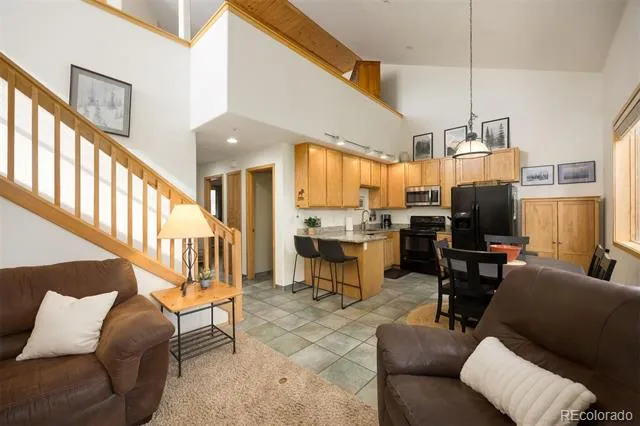 10000 Ryan Gulch Road #312 Silverthorne, CO 80498