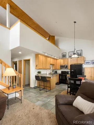 10000 Ryan Gulch Road #312 Silverthorne, CO 80498