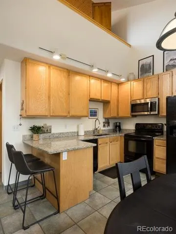 10000 Ryan Gulch Road #312 Silverthorne, CO 80498