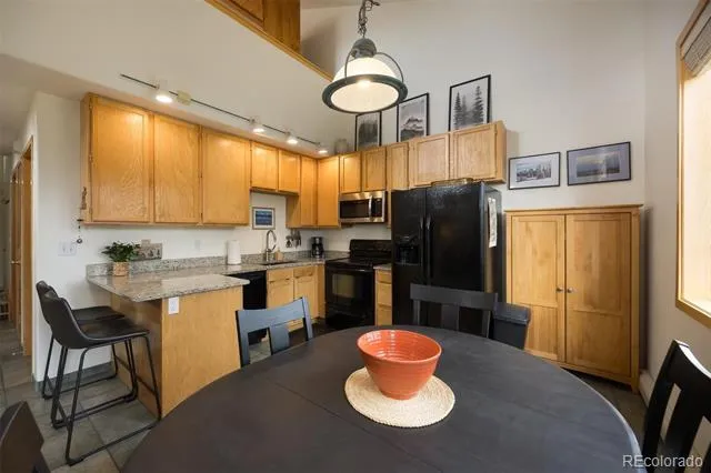 10000 Ryan Gulch Road #312 Silverthorne, CO 80498