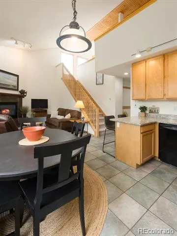 10000 Ryan Gulch Road #312 Silverthorne, CO 80498