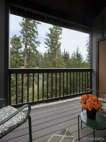 10000 Ryan Gulch Road #312 Silverthorne, CO 80498