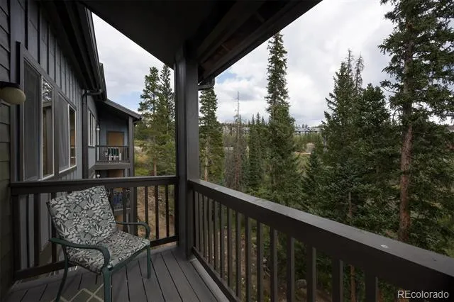 10000 Ryan Gulch Road #312 Silverthorne, CO 80498