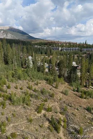 10000 Ryan Gulch Road #312 Silverthorne, CO 80498
