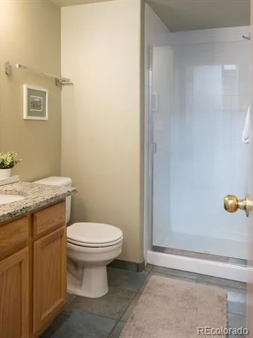 10000 Ryan Gulch Road #312 Silverthorne, CO 80498