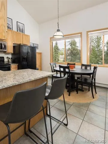10000 Ryan Gulch Road #312 Silverthorne, CO 80498