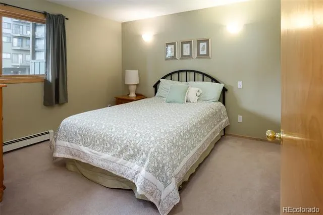 10000 Ryan Gulch Road #312 Silverthorne, CO 80498