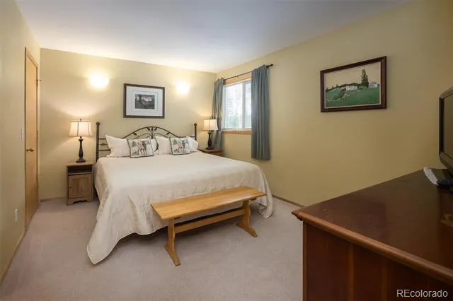 10000 Ryan Gulch Road #312 Silverthorne, CO 80498