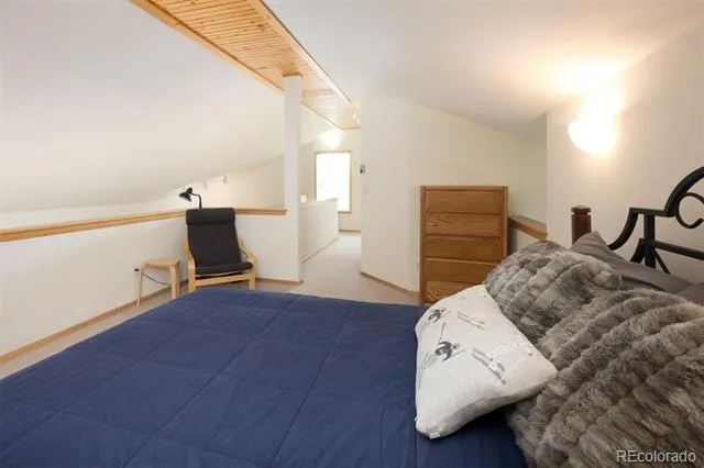 10000 Ryan Gulch Road #312 Silverthorne, CO 80498