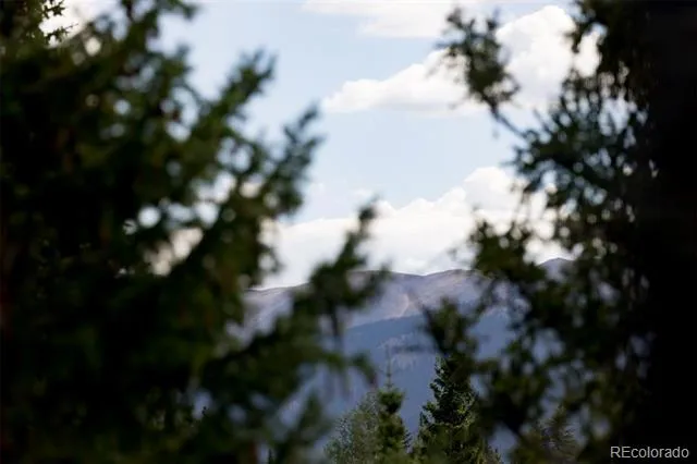 10000 Ryan Gulch Road #312 Silverthorne, CO 80498