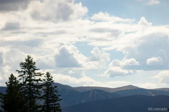 10000 Ryan Gulch Road #312 Silverthorne, CO 80498