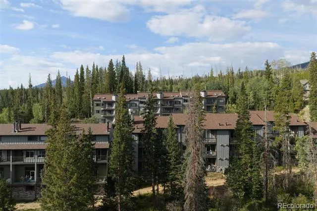10000 Ryan Gulch Road #312 Silverthorne, CO 80498
