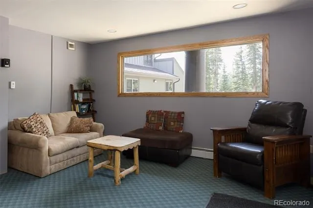 10000 Ryan Gulch Road #312 Silverthorne, CO 80498