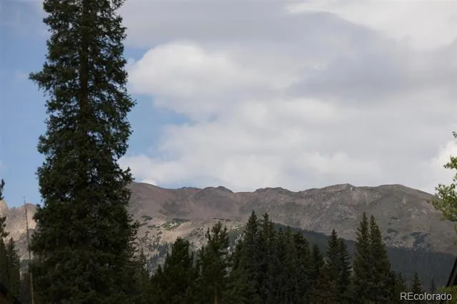 10000 Ryan Gulch Road #312 Silverthorne, CO 80498