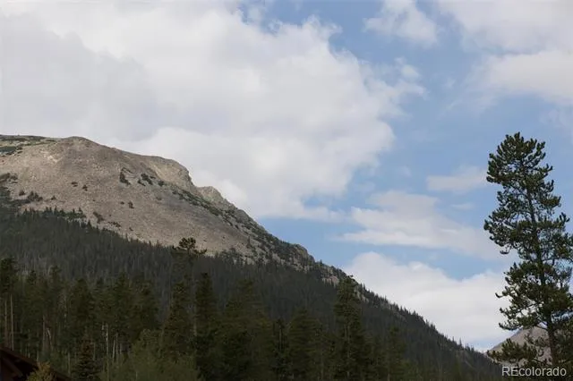 10000 Ryan Gulch Road #312 Silverthorne, CO 80498