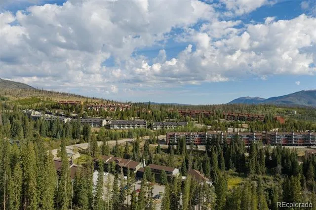 10000 Ryan Gulch Road #312 Silverthorne, CO 80498