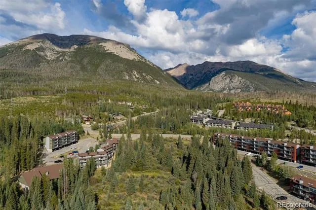 10000 Ryan Gulch Road #312 Silverthorne, CO 80498