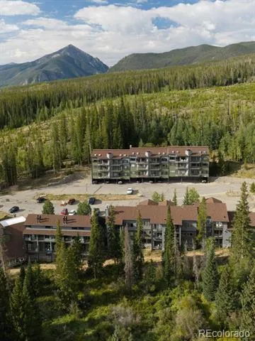 10000 Ryan Gulch Road #312 Silverthorne, CO 80498