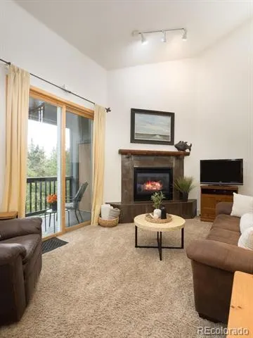 10000 Ryan Gulch Road #312 Silverthorne, CO 80498