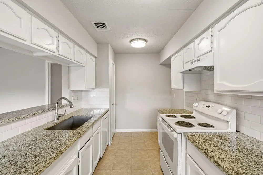 1310 Mossridge Drive Missouri City, TX 77489