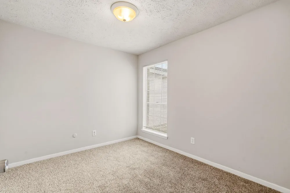 1310 Mossridge Drive Missouri City, TX 77489