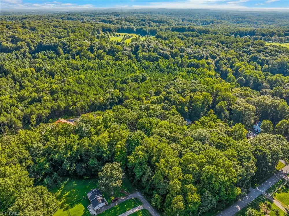 0 Tierney Drive Lewisville, NC 27023