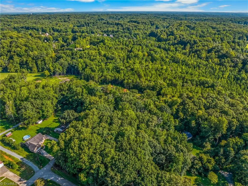 0 Tierney Drive Lewisville, NC 27023